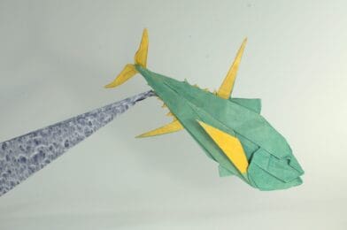 Yellow-Fin Tuna CU